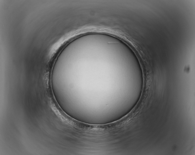 X0000116321503200912151230