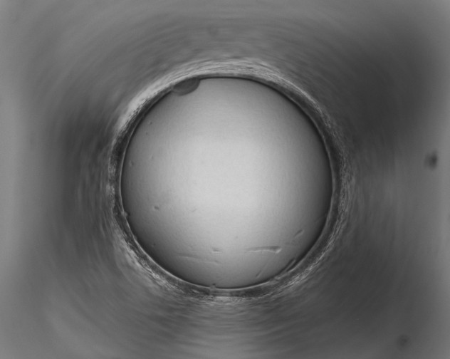 X0000116321506200912151230