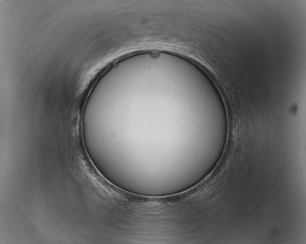 X0000116321507200912151230