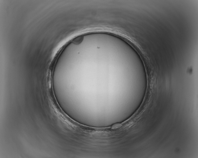 X0000116321510200912151230