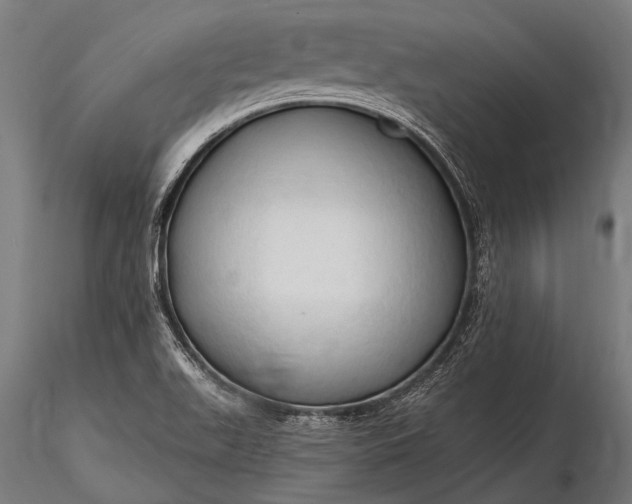 X0000116321511200912151230