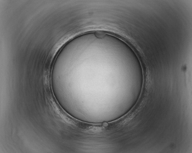 X0000116321513200912151230