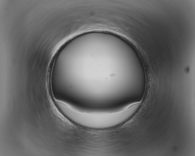 X0000116321518200912151230