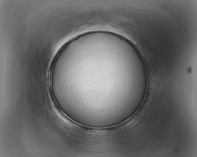 X0000116321519200912151230