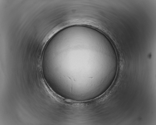 X0000116321521200912151230