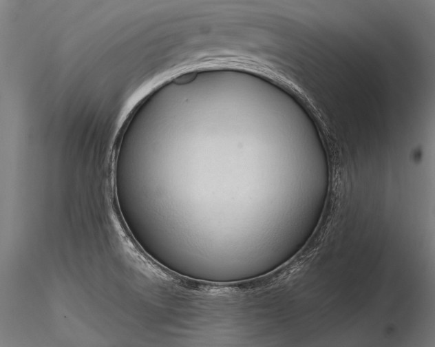 X0000116321522200912151230