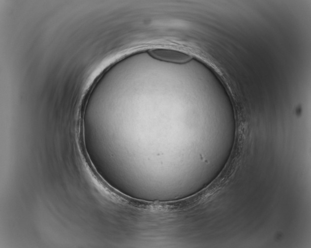 X0000116321523200912151231