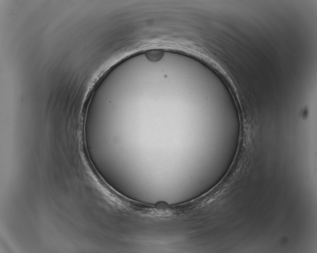 X0000116321525200912151231