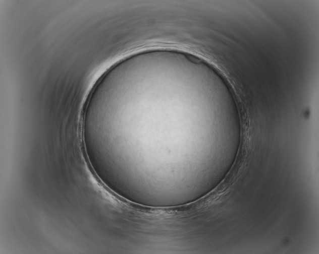 X0000116321527200912151231