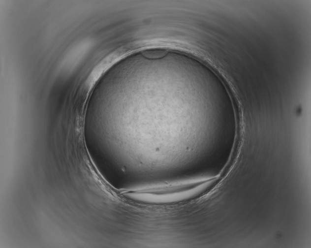 X0000116321529200912151231