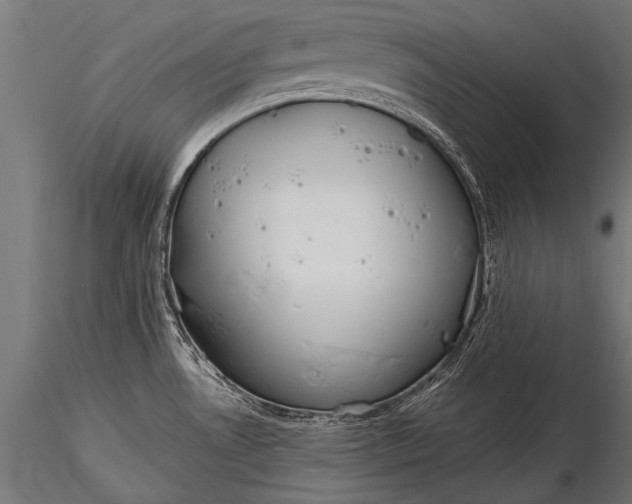 X0000116321530200912151231