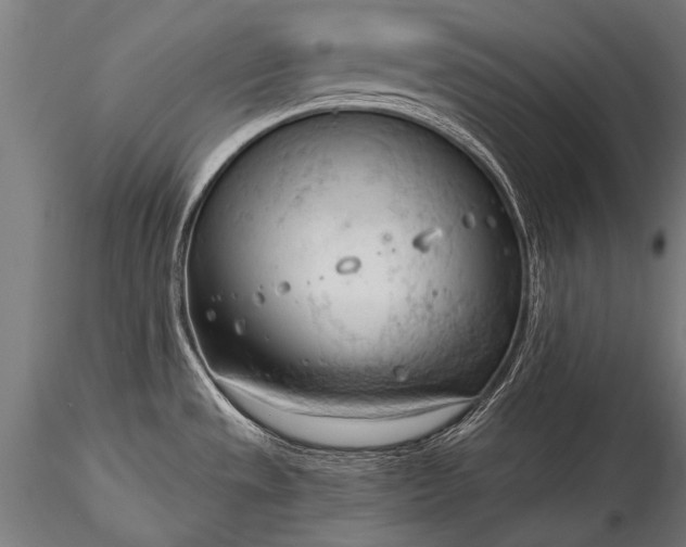 X0000116321533200912151231