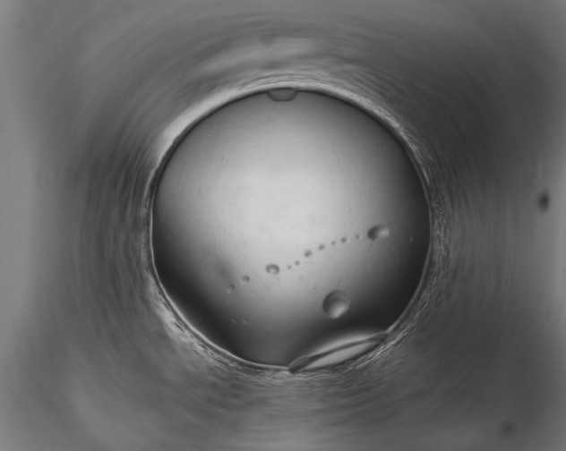 X0000116321534200912151231