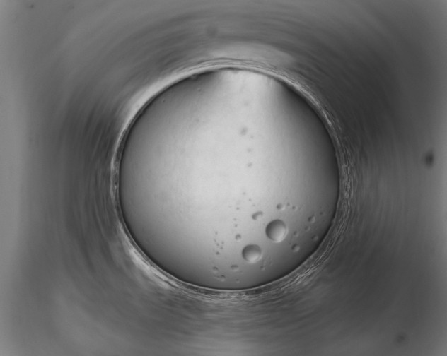 X0000116321535200912151231