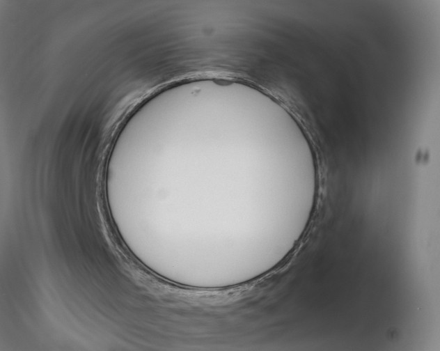 X0000116320001200912221408