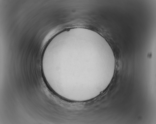 X0000116320004200912221408