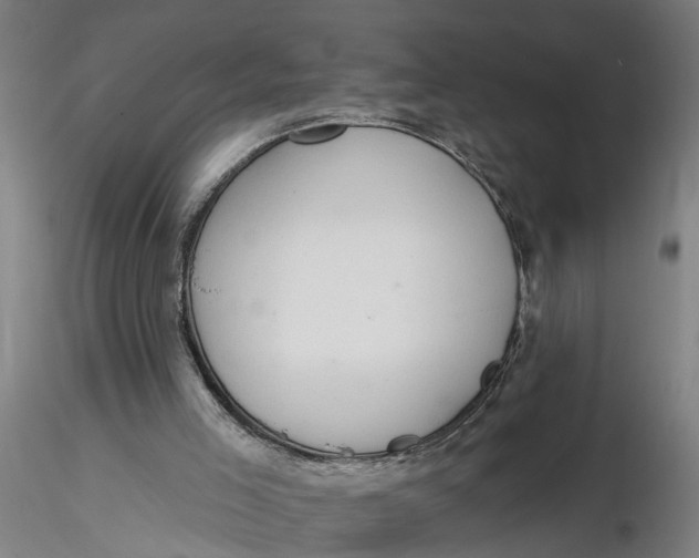 X0000116320005200912221408