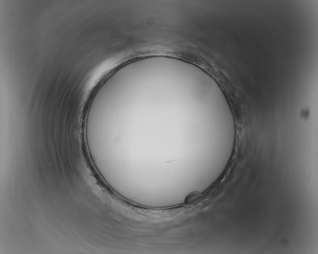 X0000116320006200912221408