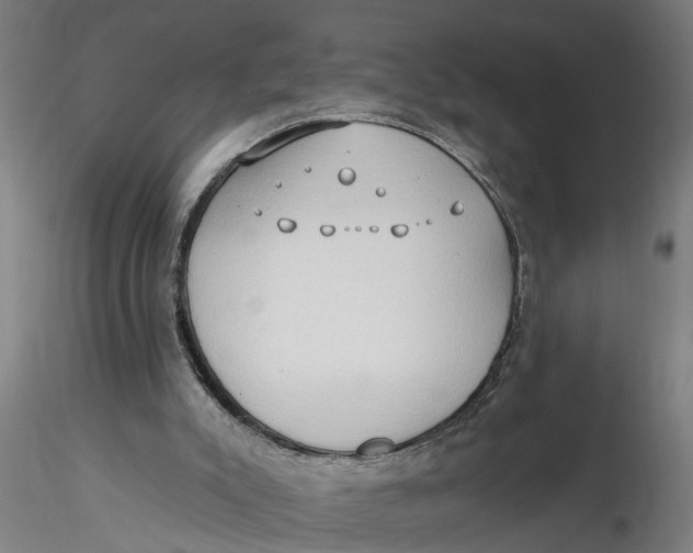 X0000116320007200912221408