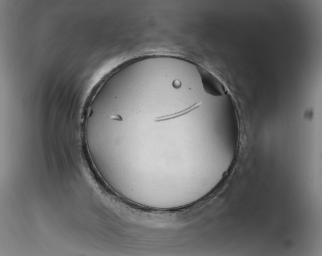 X0000116320008200912221408