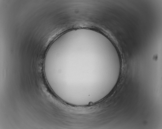 X0000116320010200912221408