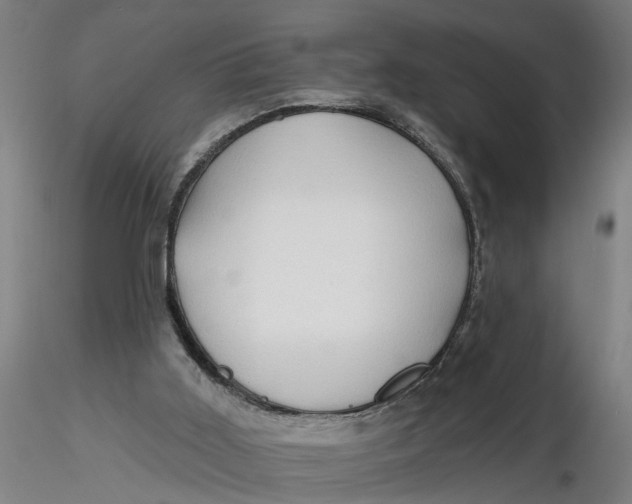 X0000116320011200912221408