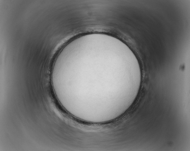 X0000116320012200912221408