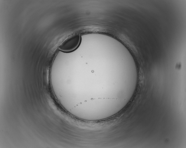 X0000116320014200912221408