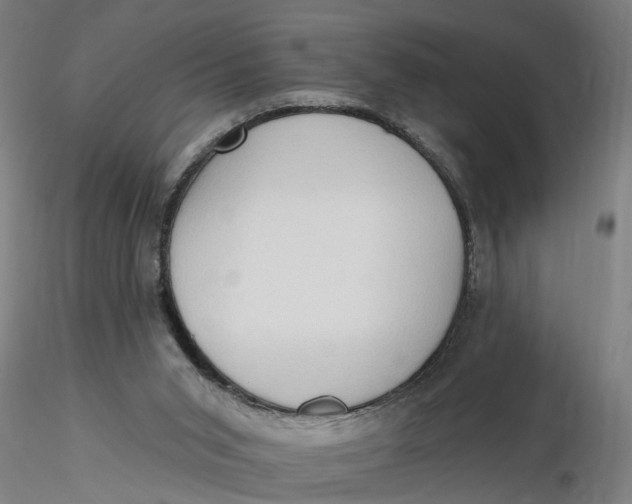 X0000116320015200912221408