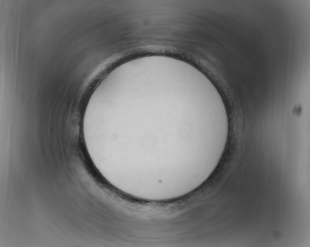 X0000116320016200912221408