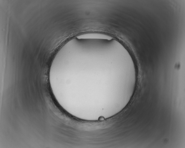 X0000116320017200912221408