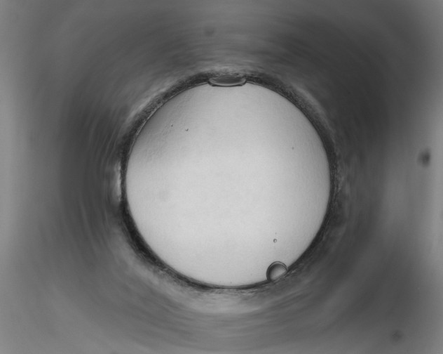 X0000116320020200912221408