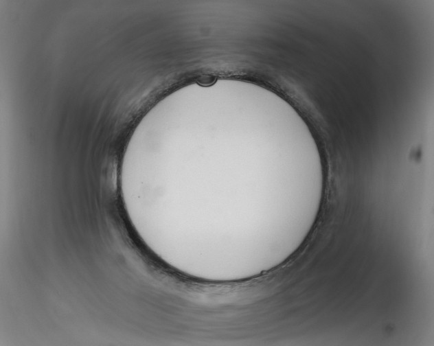 X0000116320021200912221408