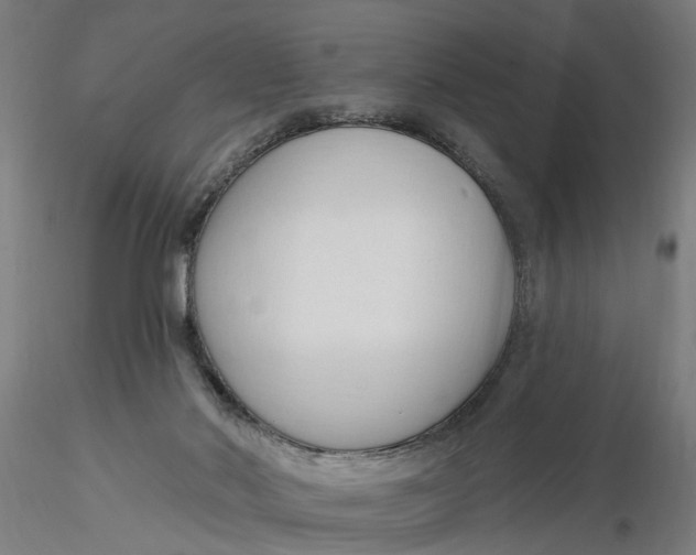 X0000116320022200912221408