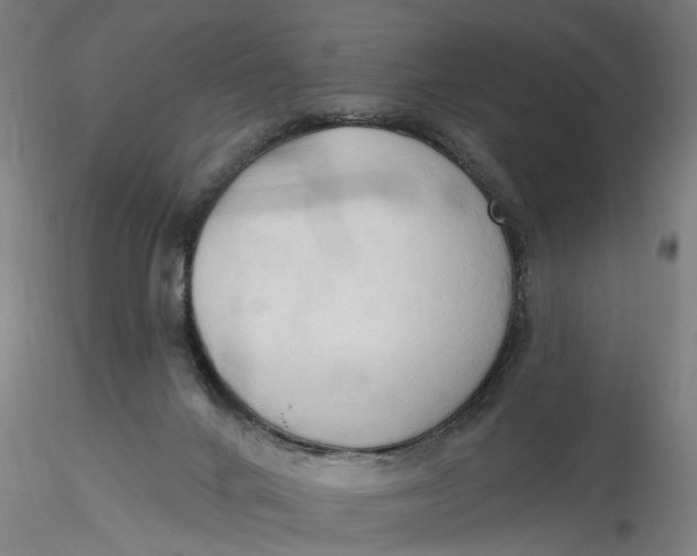 X0000116320024200912221408