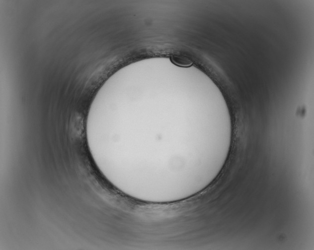 X0000116320025200912221408