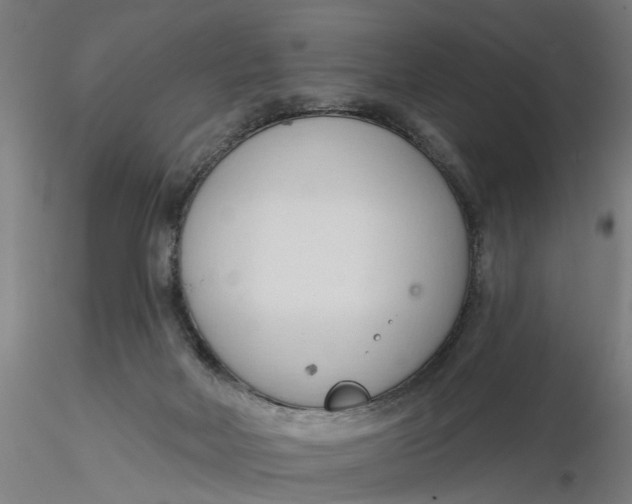 X0000116320026200912221408