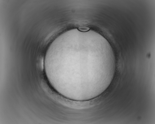 X0000116320027200912221408