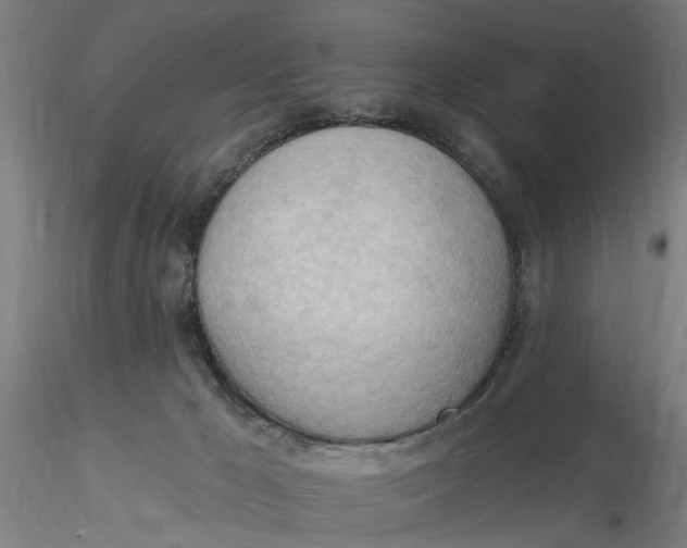 X0000116320029200912221408