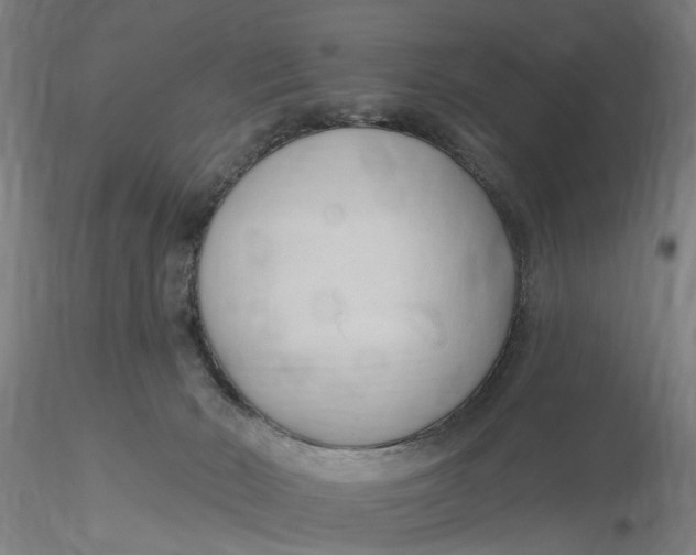 X0000116320030200912221408