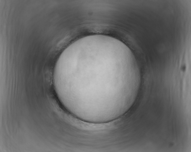 X0000116320031200912221408