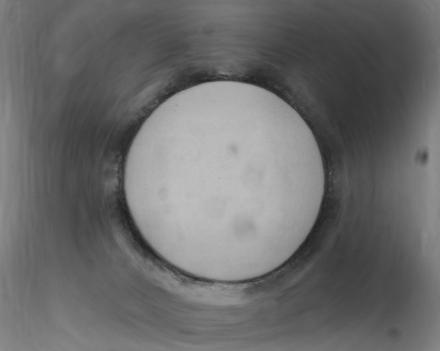 X0000116320032200912221408