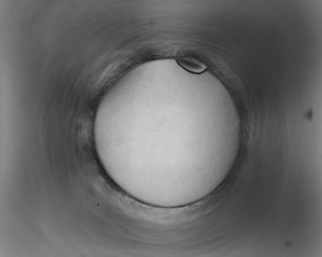 X0000116320035200912221408