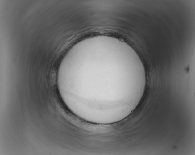 X0000116320036200912221408