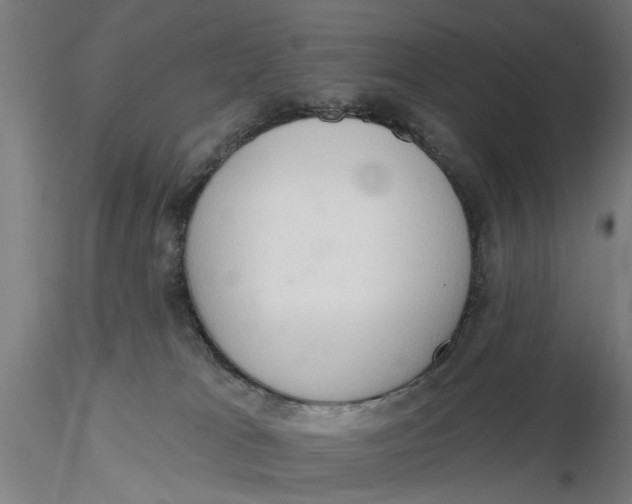 X0000116320037200912221408