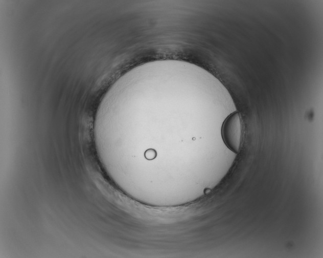 X0000116320038200912221408