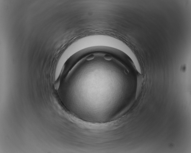 X0000116320039200912221408