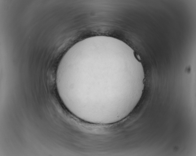 X0000116320040200912221408