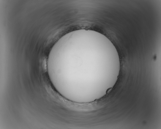 X0000116320042200912221408