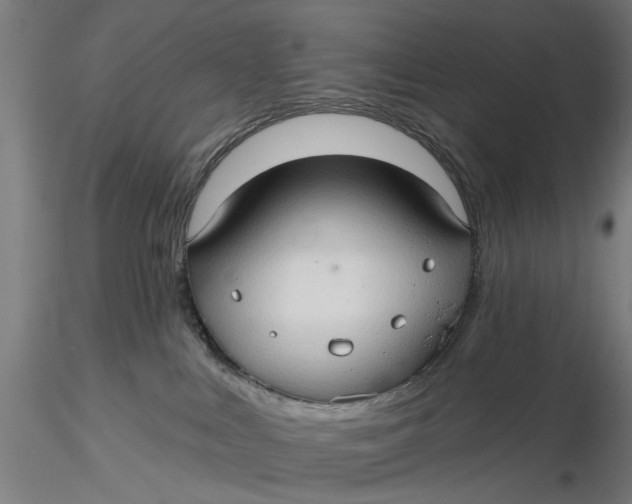 X0000116320043200912221408